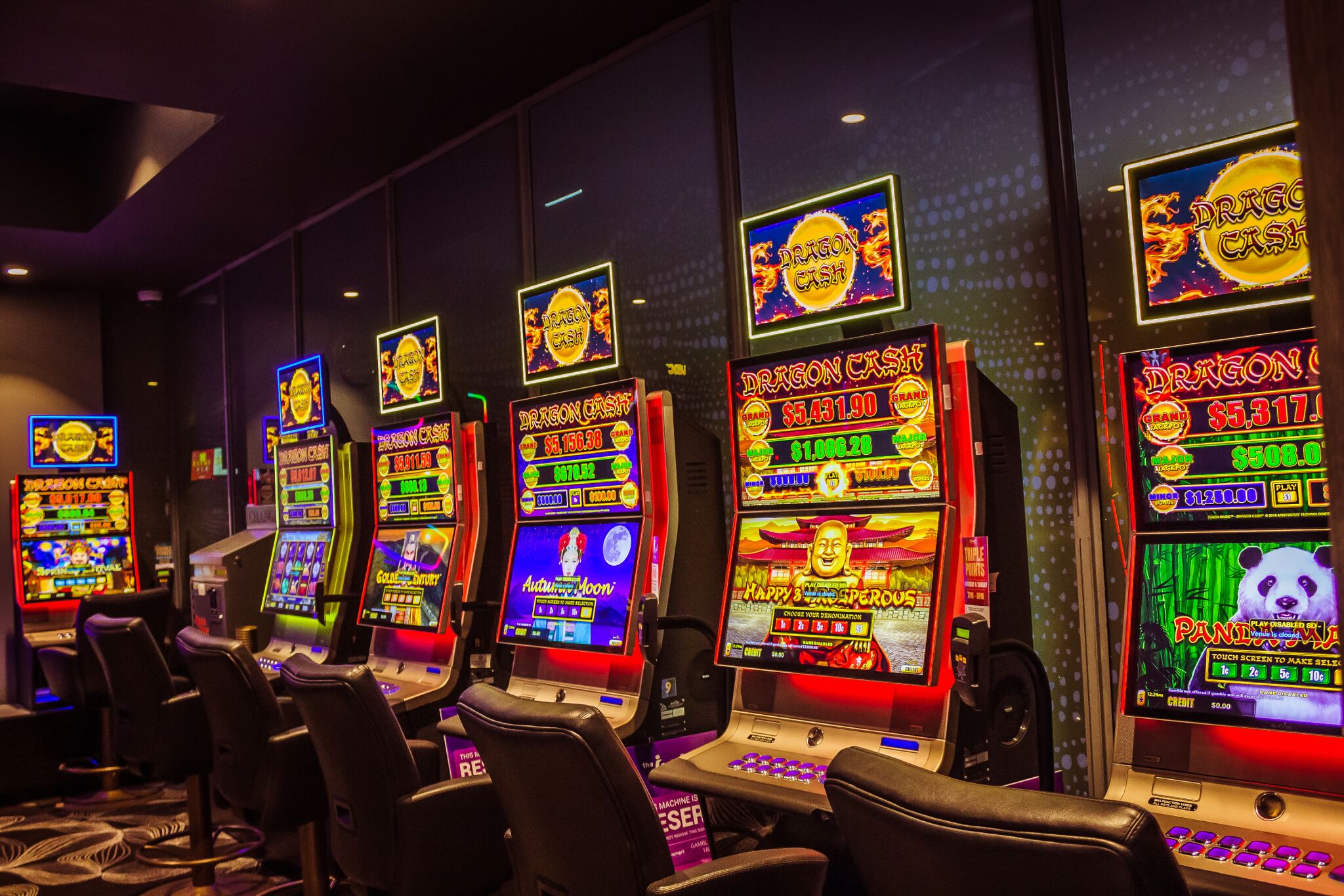 Want To Step Up Your Online casino australia? You Need To Read This First